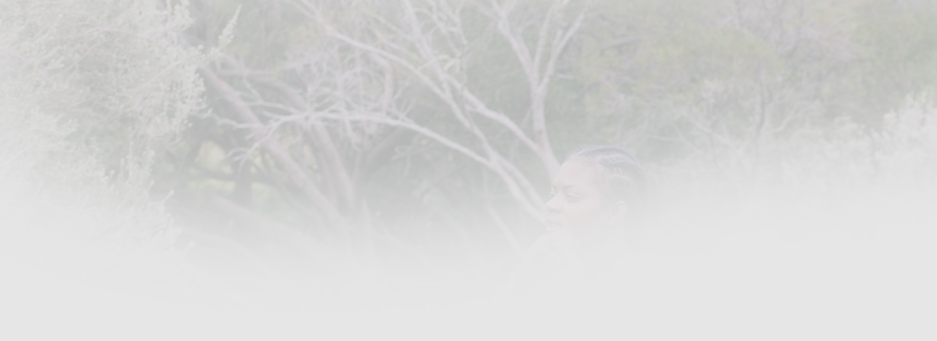 banner2-1